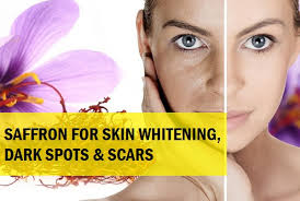 An Strange Miracle Of Saffron In Keep The Skin Fresh Melalsaffron an strange miracle of saffron in keep
